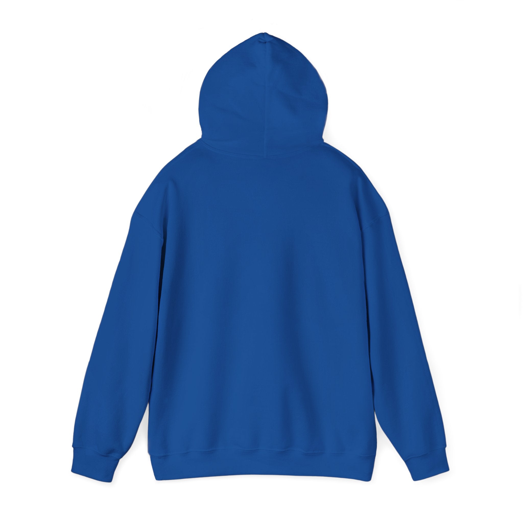 Pick Me Bear Hoodie — Cute Grizzly with Cash Graphic Sweatshirt