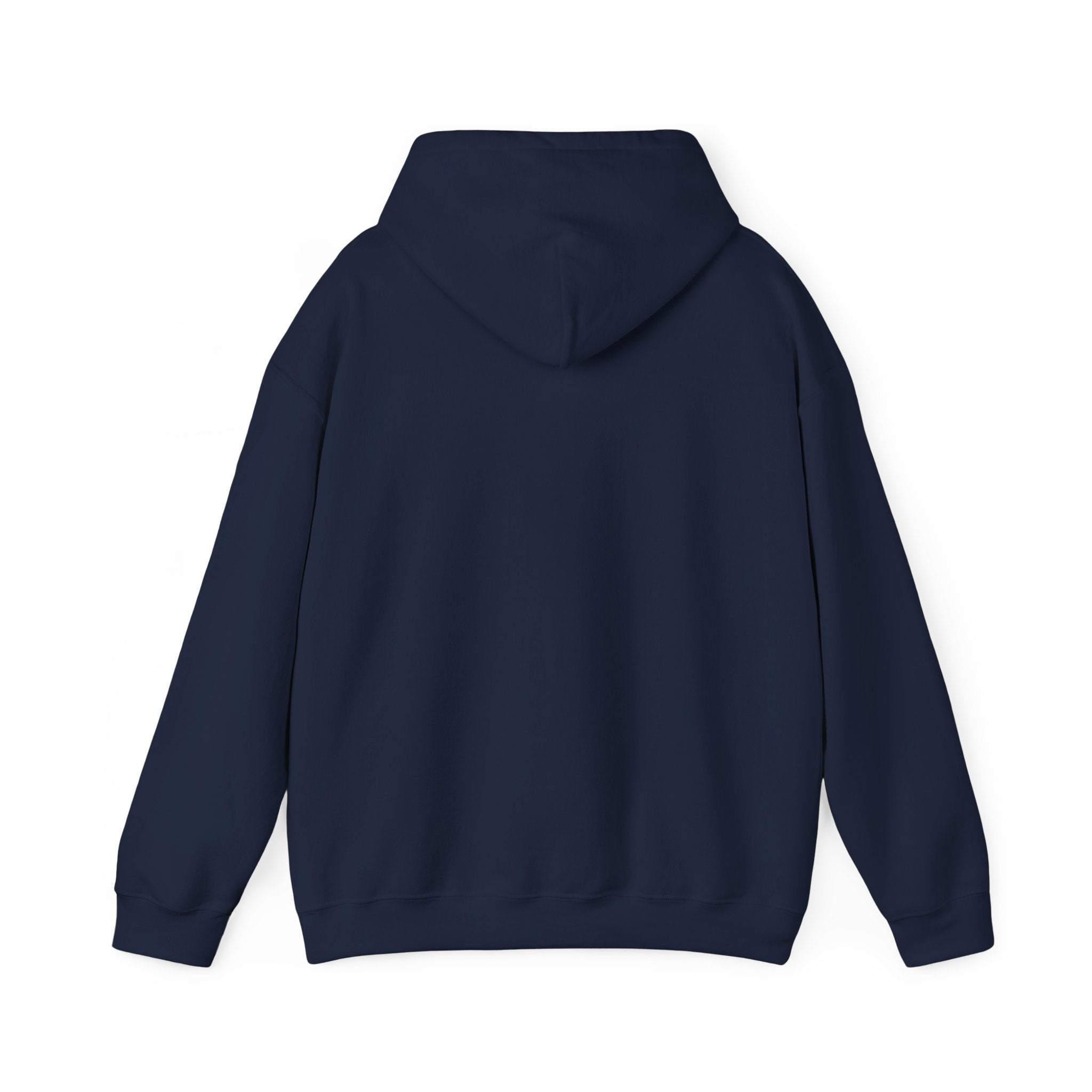 Pick Me Bear Hoodie — Cute Grizzly with Cash Graphic Sweatshirt