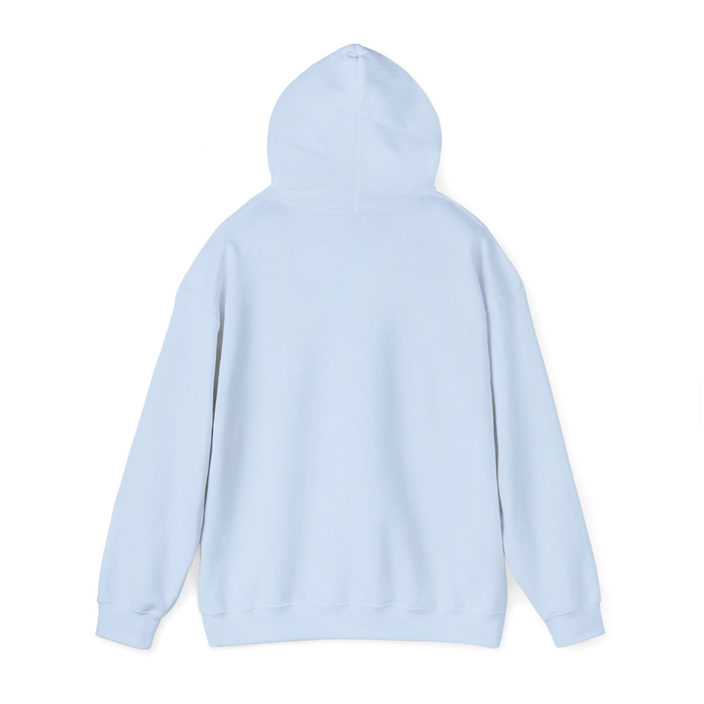 Pick Me Bear Hoodie — Cute Grizzly with Cash Graphic Sweatshirt