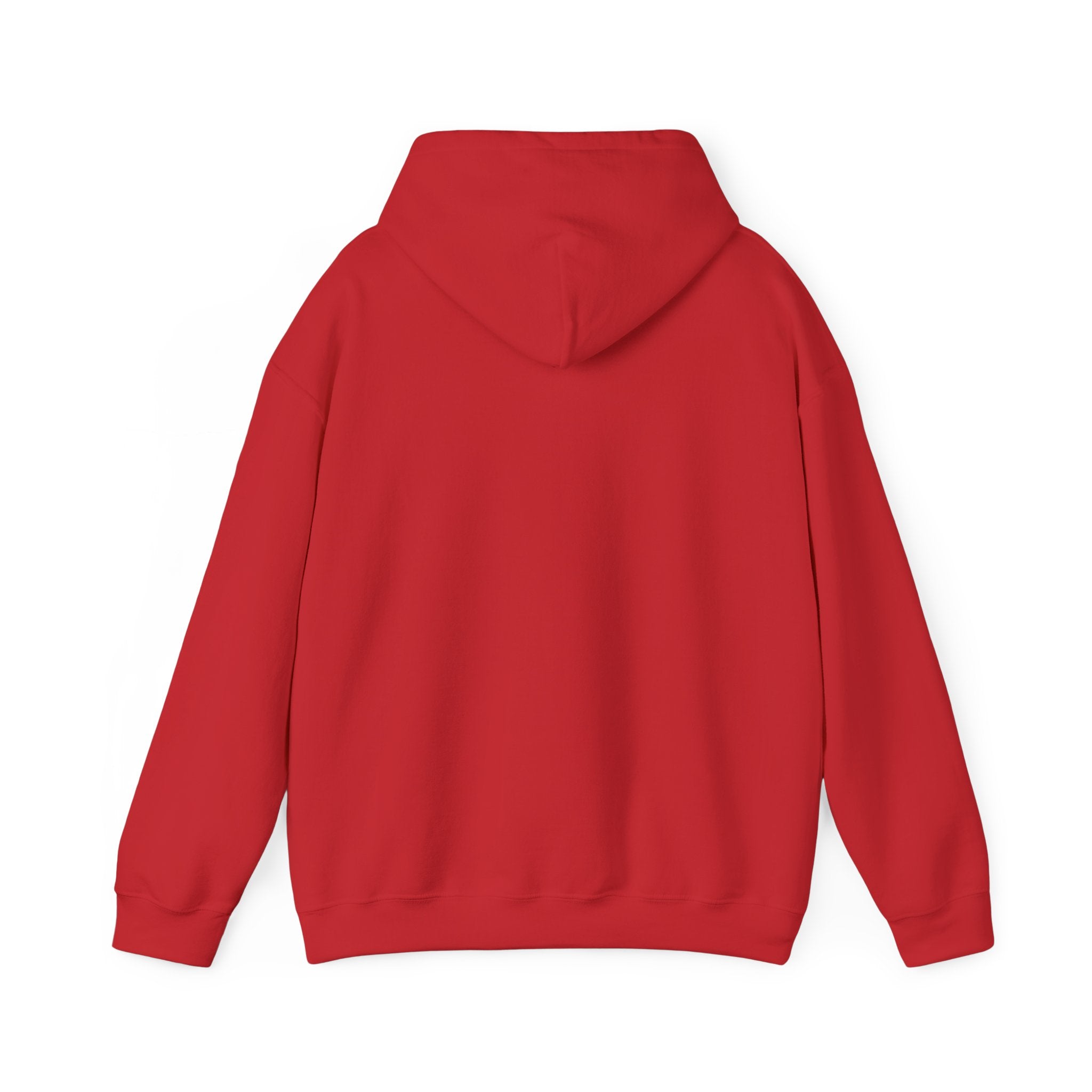 Pick Me Bear Hoodie — Cute Grizzly with Cash Graphic Sweatshirt